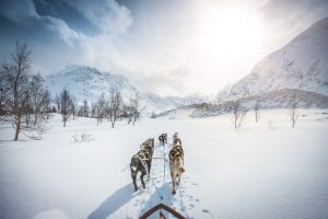 Viaframe Sports Photography
